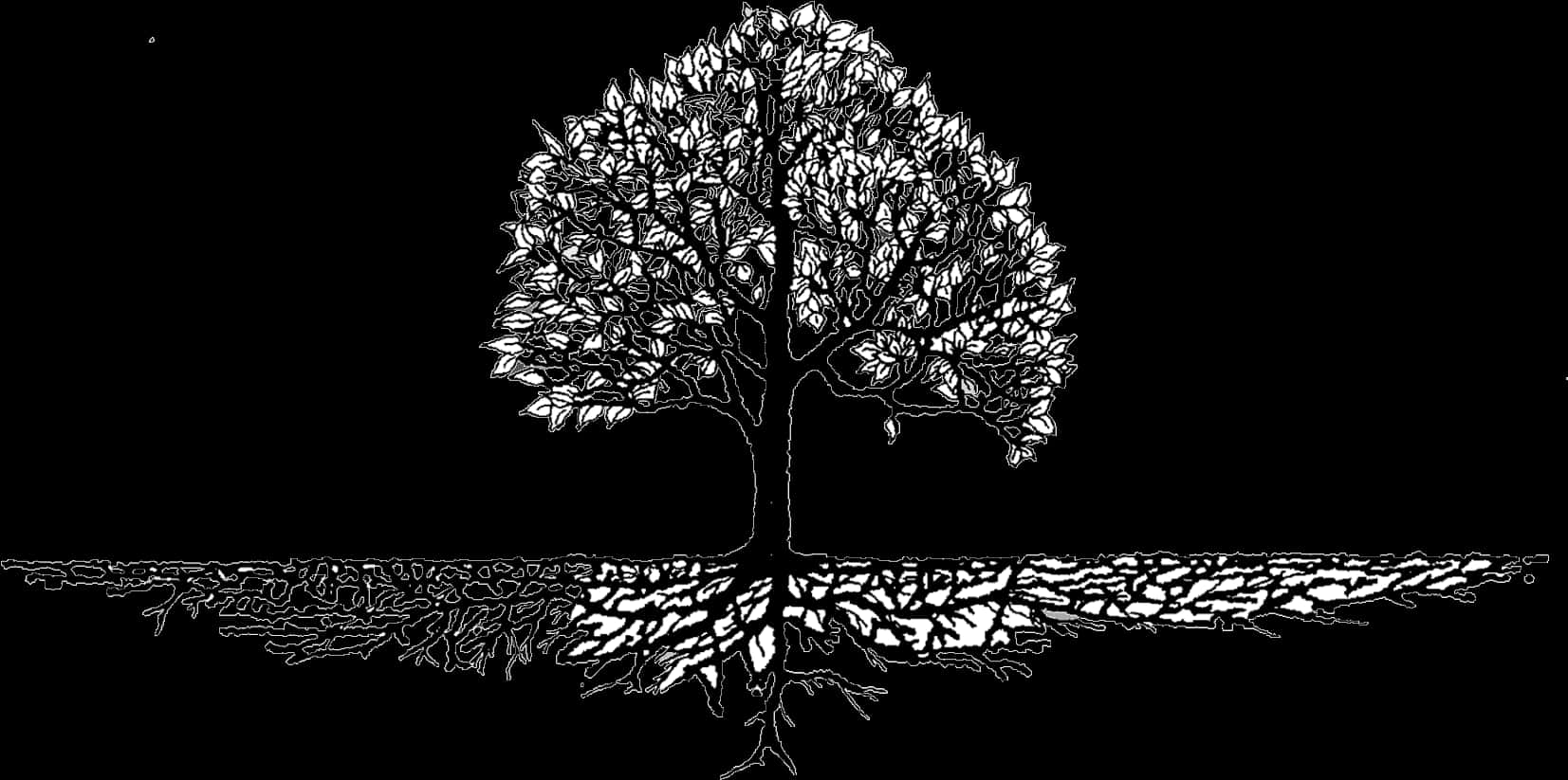 Monochrome_ Tree_ Silhouette_with_ Reflections PNG image