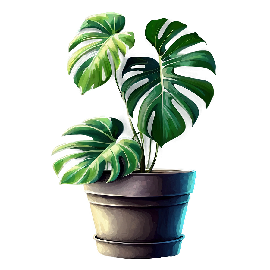 Monstera In Pot Drawing Png 05232024 PNG image