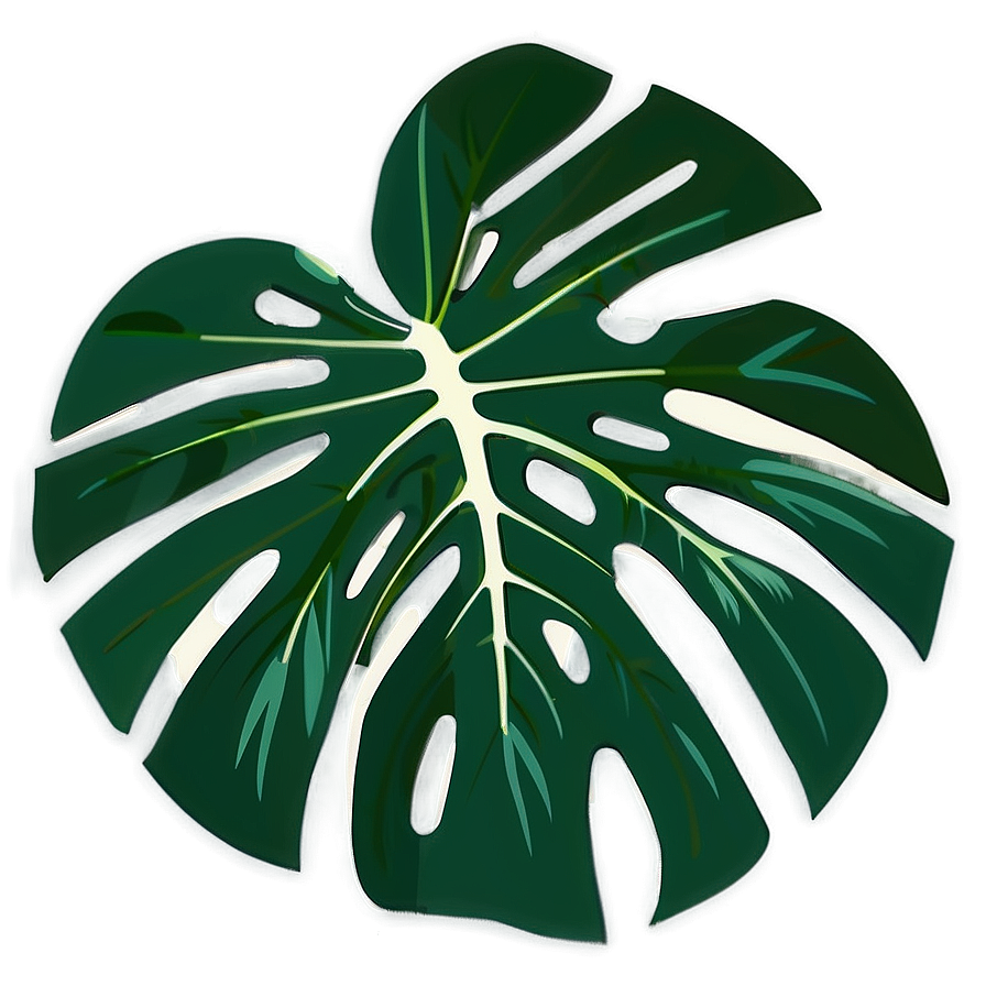 Monstera Leaf Flat Design Png 05232024 PNG image