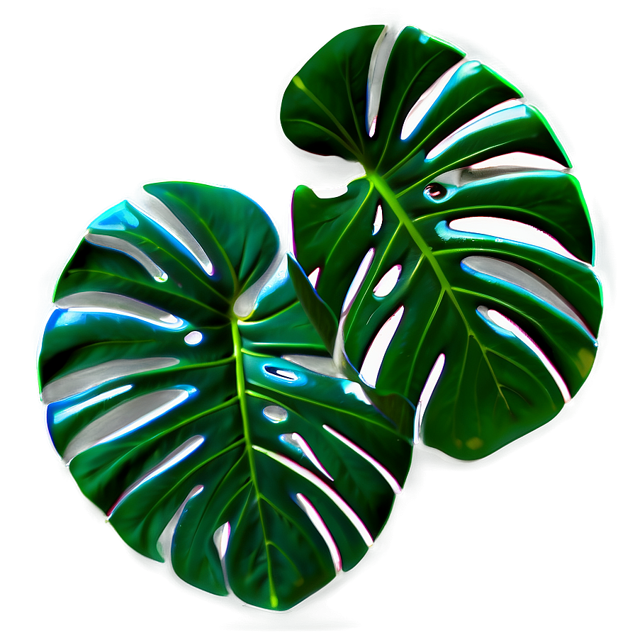 Monstera Leaf Pattern Png 06212024 PNG image