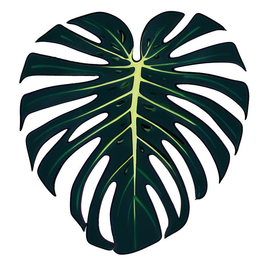 Monstera Outline Graphic Png 05232024 PNG image