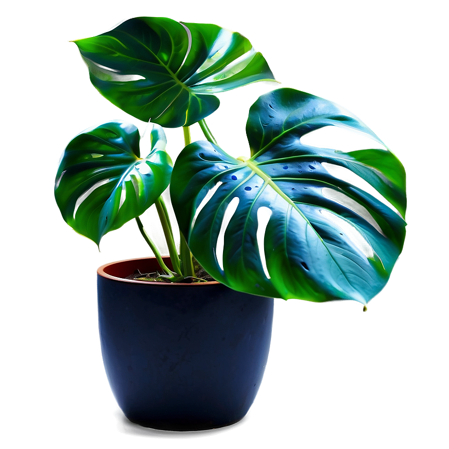 Monstera Plant In Living Room Png Axf PNG image