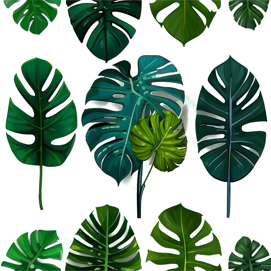 Monstera Plant Indoor Png Iiv PNG image