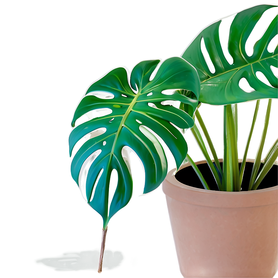 Monstera Plant Pot Png 34 PNG image