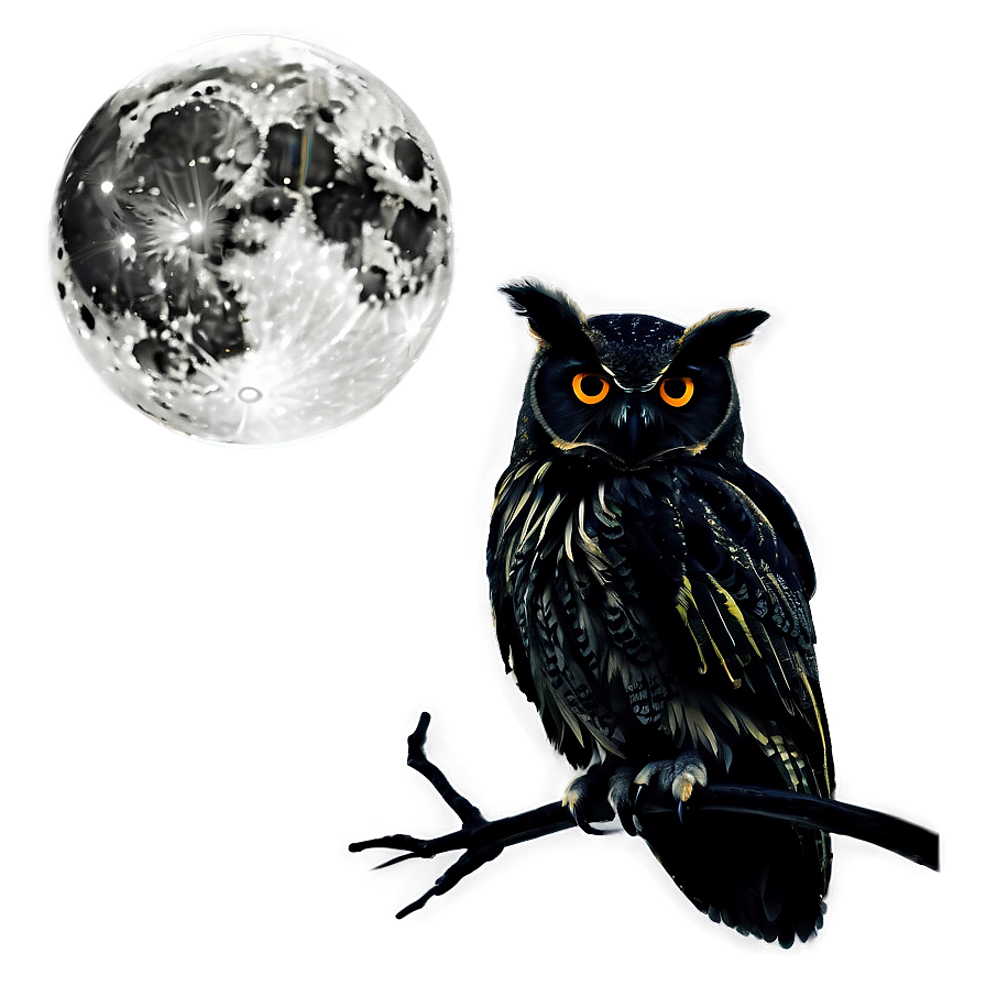 Moon And Owl Silhouette Png Ciy32 PNG image