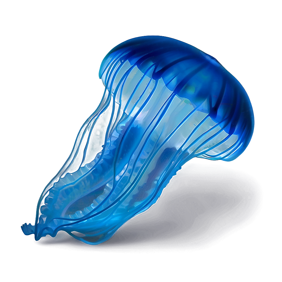 Moon Jelly In Deep Blue Png Amc2 PNG image