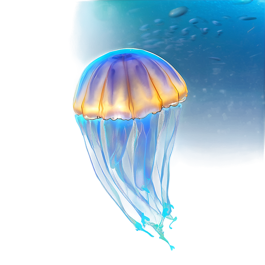 Moon Jelly In Serene Waters Png 06292024 PNG image