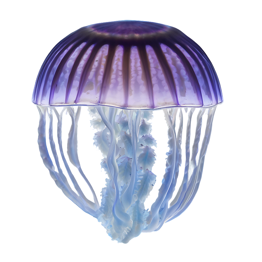 Moon Jelly Natural Habitat Png 06292024 PNG image