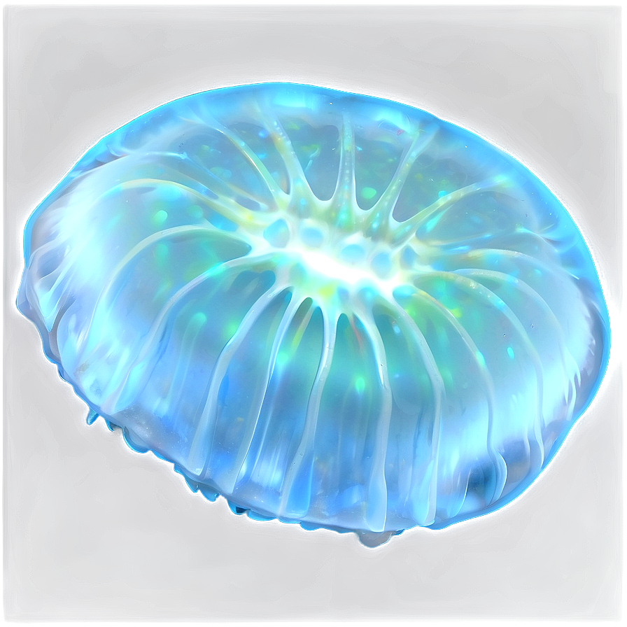 Moon Jelly With Glow Effect Png 06292024 PNG image