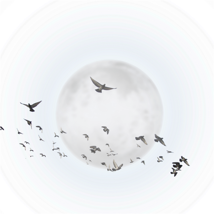 Moonlit Bird Migration PNG image