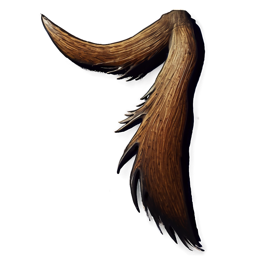 Moose Tail Png 06242024 PNG image