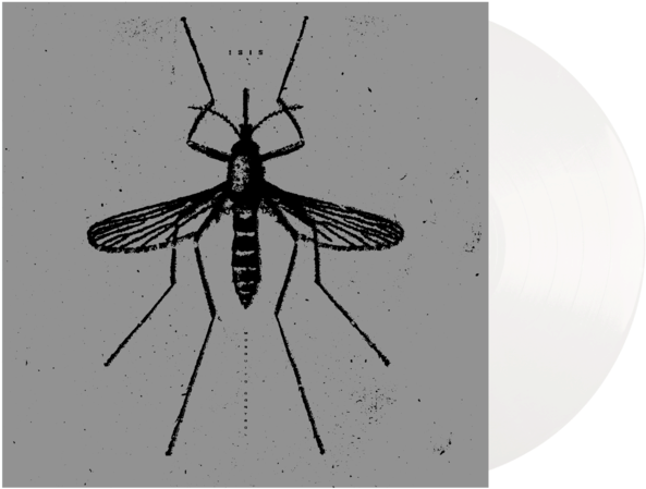 Mosquito Illustration Blackand White PNG image