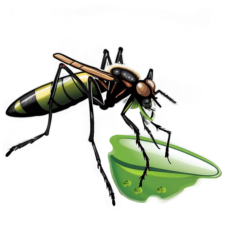 Mosquito Life Cycle Png Pej99 PNG image
