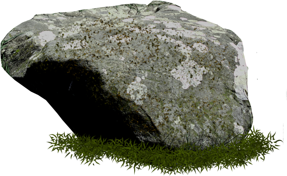 Mossy_ Rock_with_ Grass_ Texture PNG image