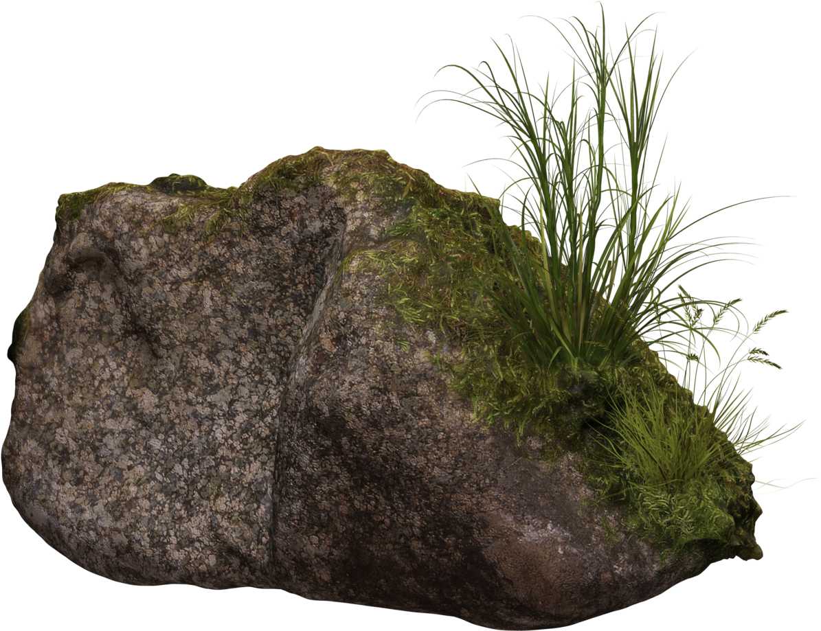 Mossy Rockwith Grass Clump PNG image