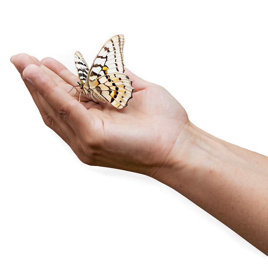 Moth In Hand Png 36 PNG image