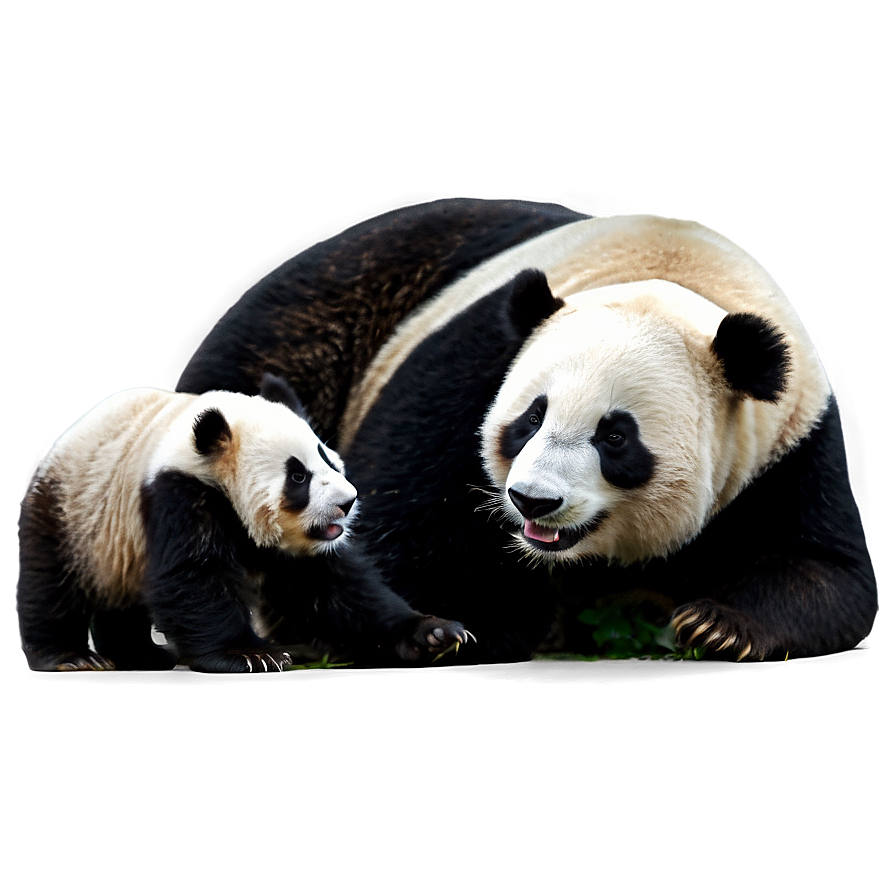 Mother And Baby Panda Png 05062024 PNG image