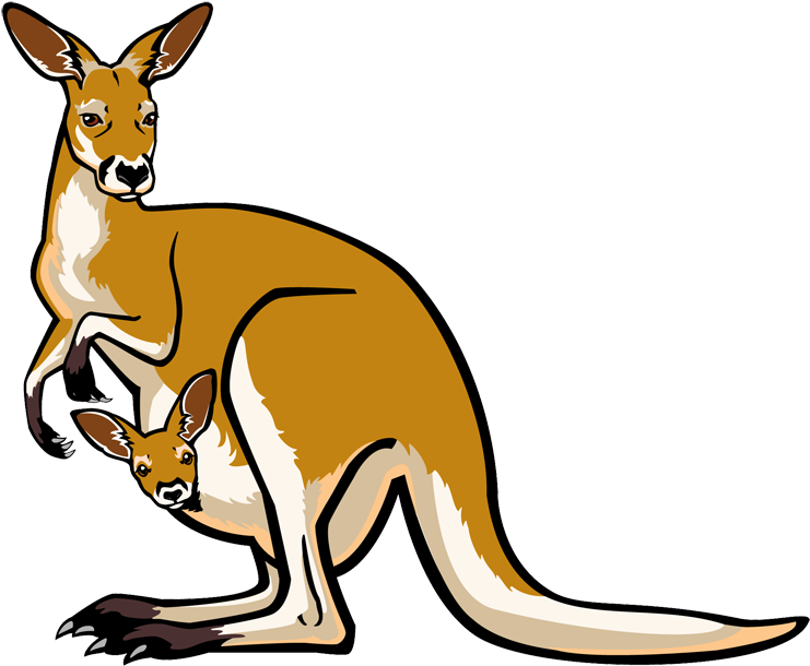 Mother Kangarooand Joey Vector Illustration PNG image