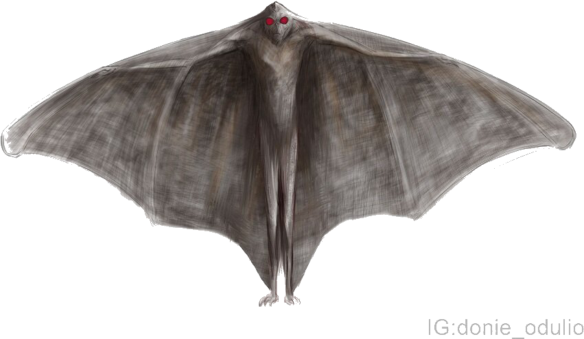 Mothman Cryptid Illustration PNG image