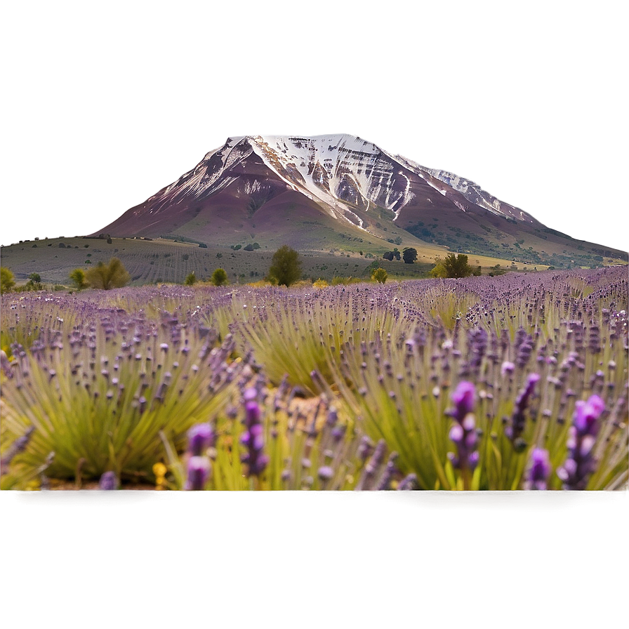 Mountain And Lavender Field Png 05032024 PNG image