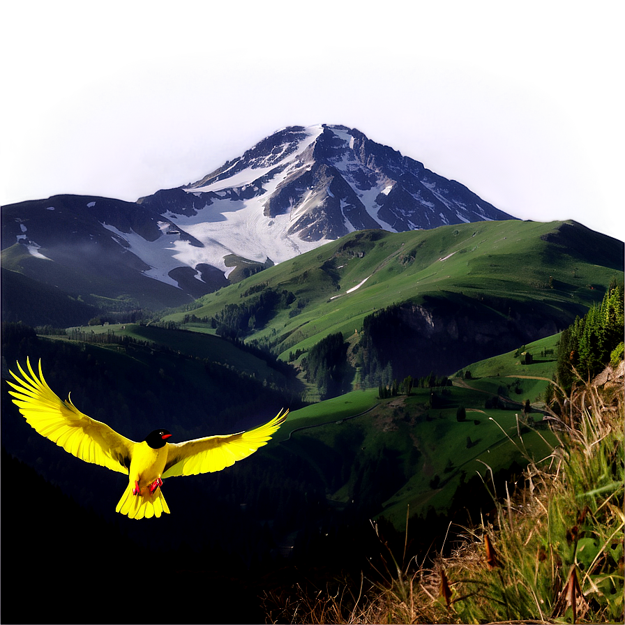 Mountain With Birds Png 05032024 PNG image