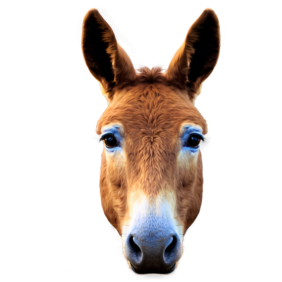 Mule Profile Icon Png Mnn9 PNG image