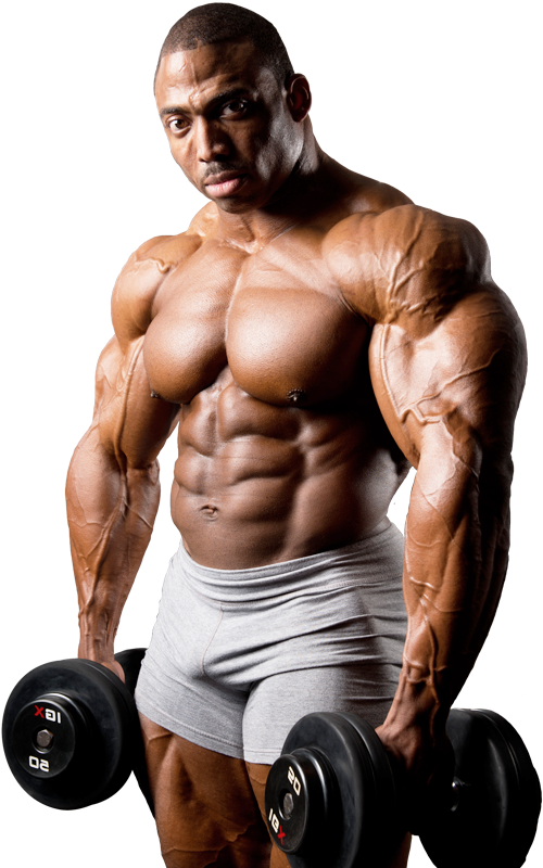 Muscular Bodybuilder Dumbbell Curl PNG image