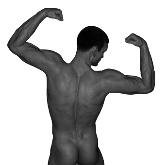 Muscular Male Back Double Biceps Pose PNG image