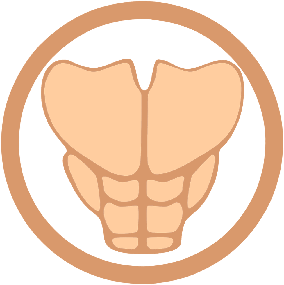 Muscular System Abdominal Muscles Icon PNG image