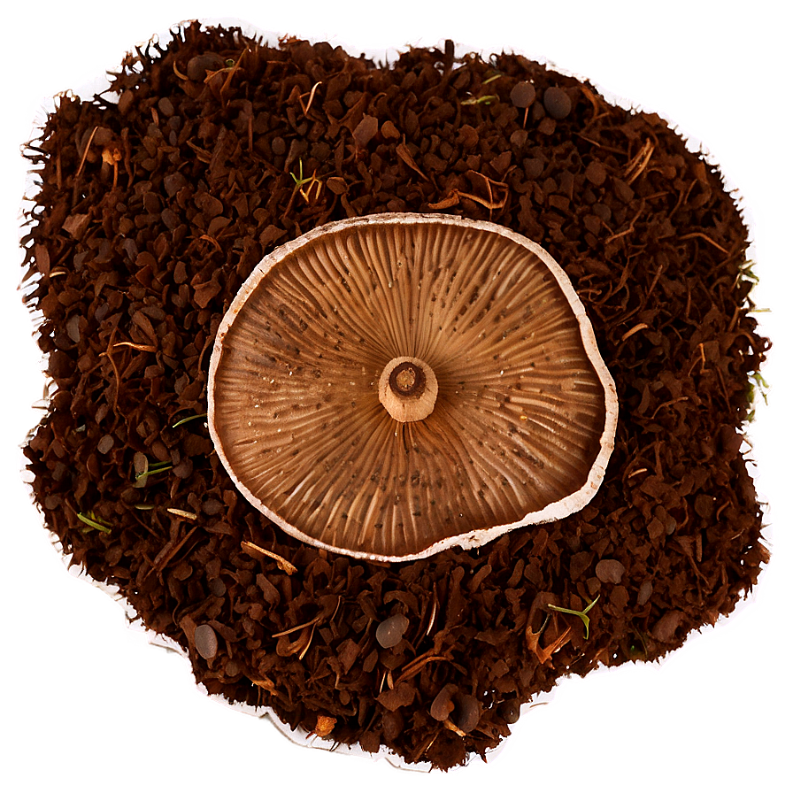 Mushroom Compost Mulch Png Ilp81 PNG image