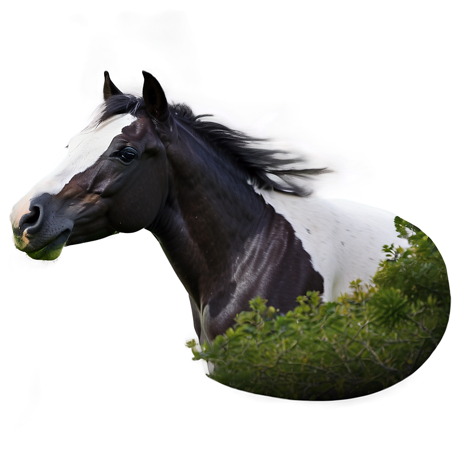 Mustang Horse In Moonlight Png Xpg PNG image