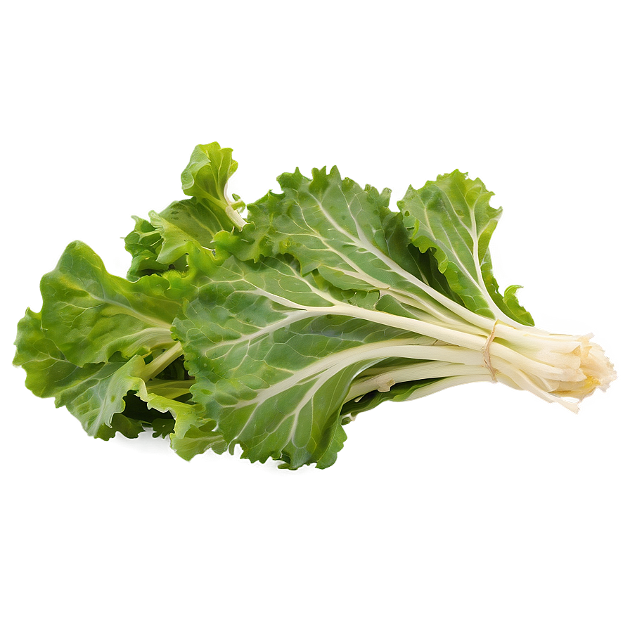 Mustard Greens Png 05242024 PNG image