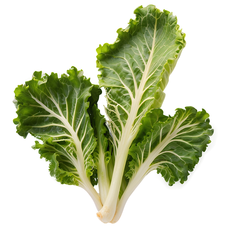 Mustard Greens Png 05242024 PNG image