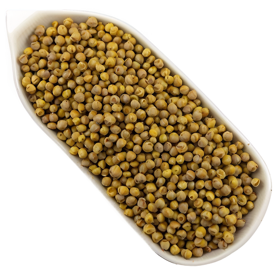 Mustard Seed Spice Png 05242024 PNG image