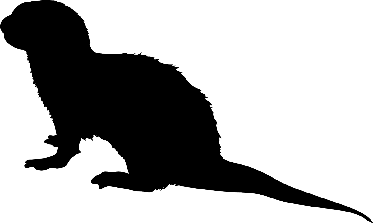 Mysterious_ Animal_ Silhouette.png PNG image