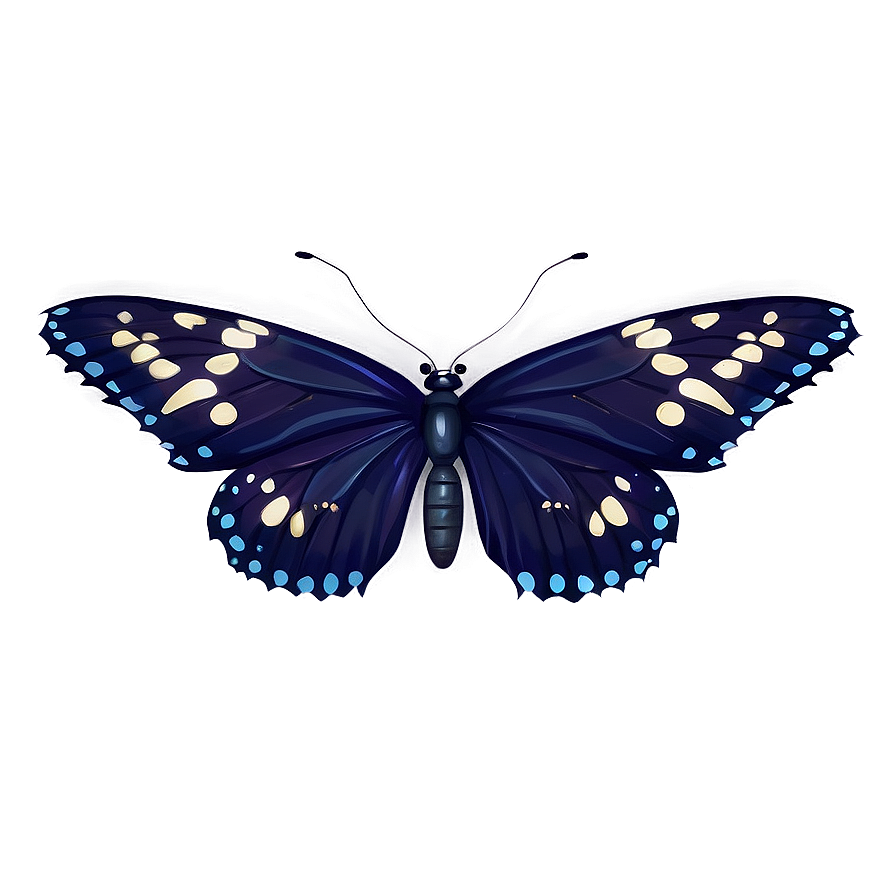 Mysterious Black Butterfly Png 06252024 PNG image