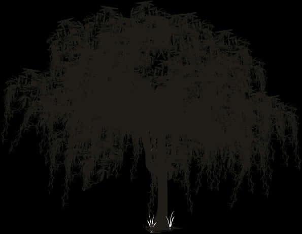 Mysterious Weeping Willow Silhouette PNG image