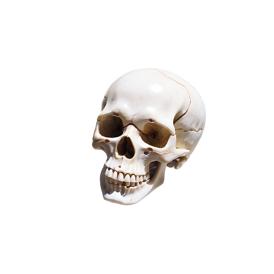 Mystic Spinning Skull Png Uhd17 PNG image