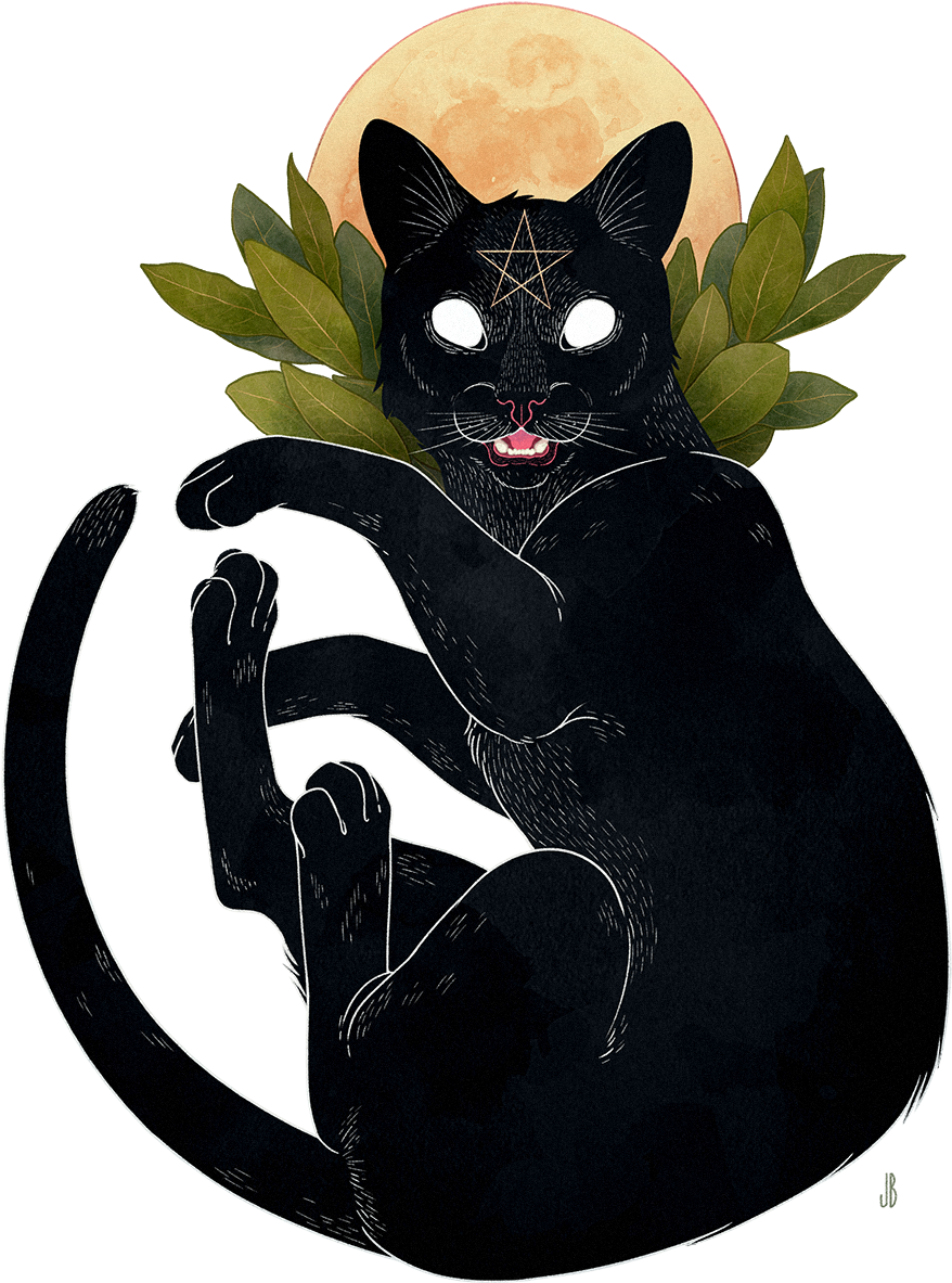 Mystical Black Cat Moon Illustration PNG image