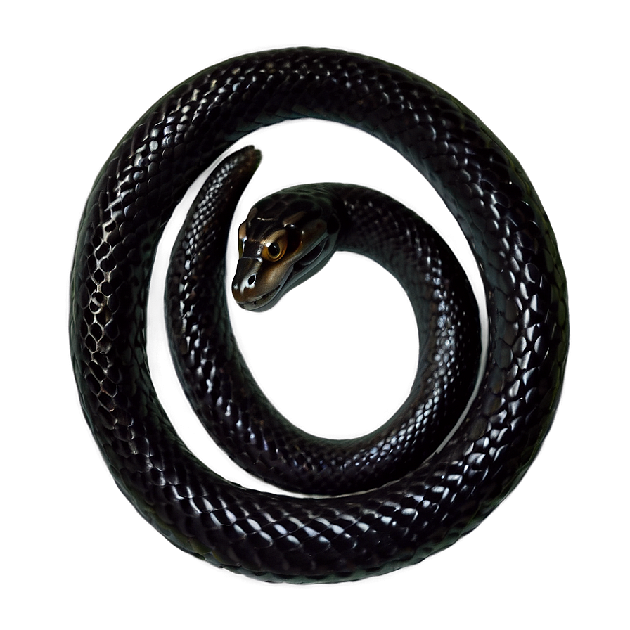 Mystical Black Snake Png Yxj53 PNG image