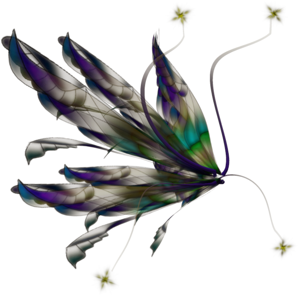 Mystical_ Fairy_ Wings_ Illustration.png PNG image