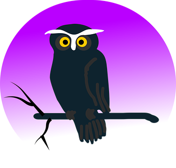 Mystical Night Owl PNG image