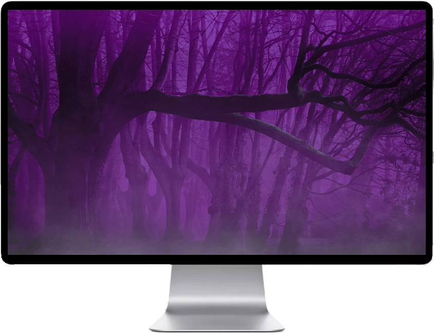 Mystical_ Purple_ Forest PNG image