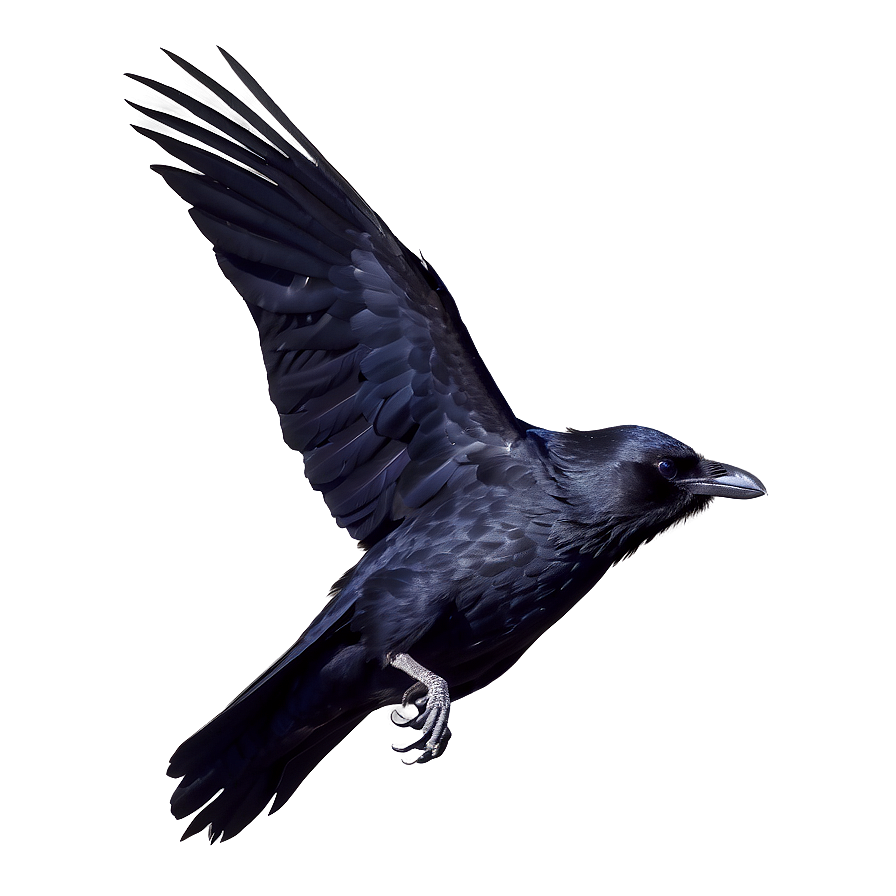 Mystical Raven In Moonlight Png 06122024 PNG image