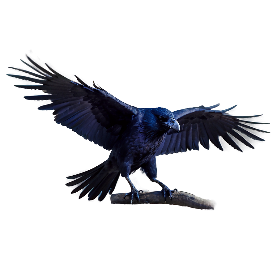 Mystical Raven Png 05062024 PNG image