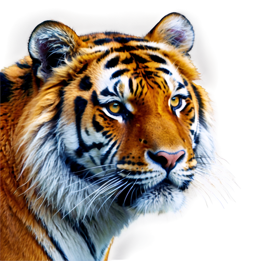 Mystical Tiger Face Aura Png 10 PNG image