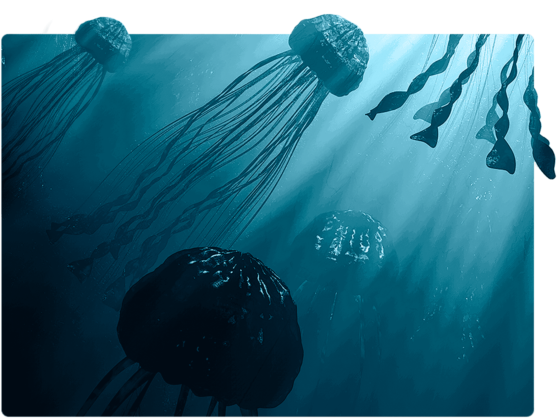 Mystical_ Underwater_ Jellyfish_ Scene.jpg PNG image