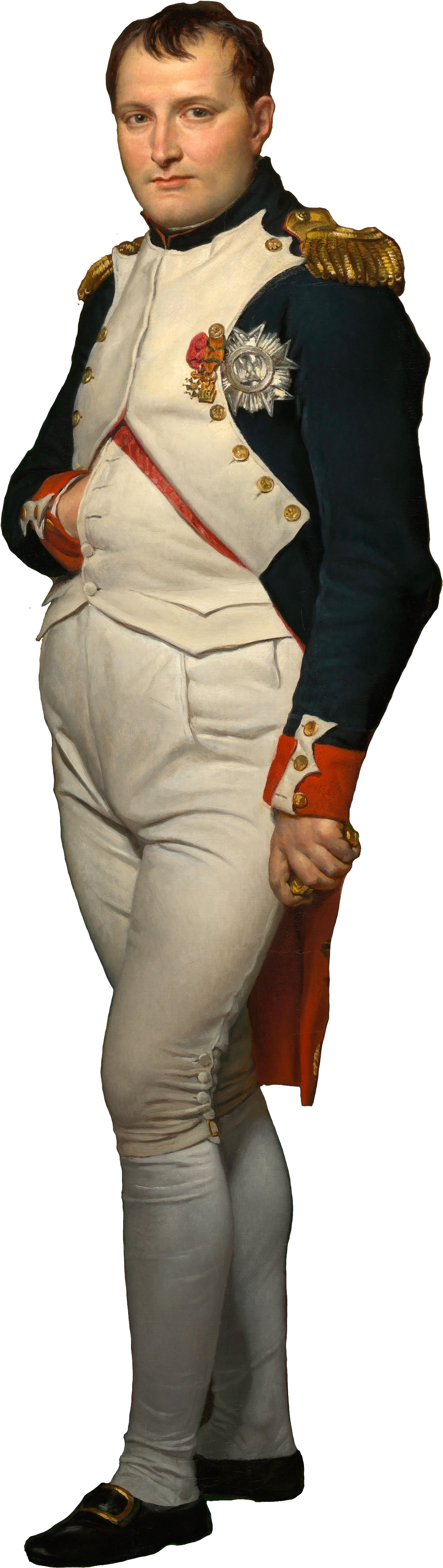Napoleon Bonaparte Portrait PNG image
