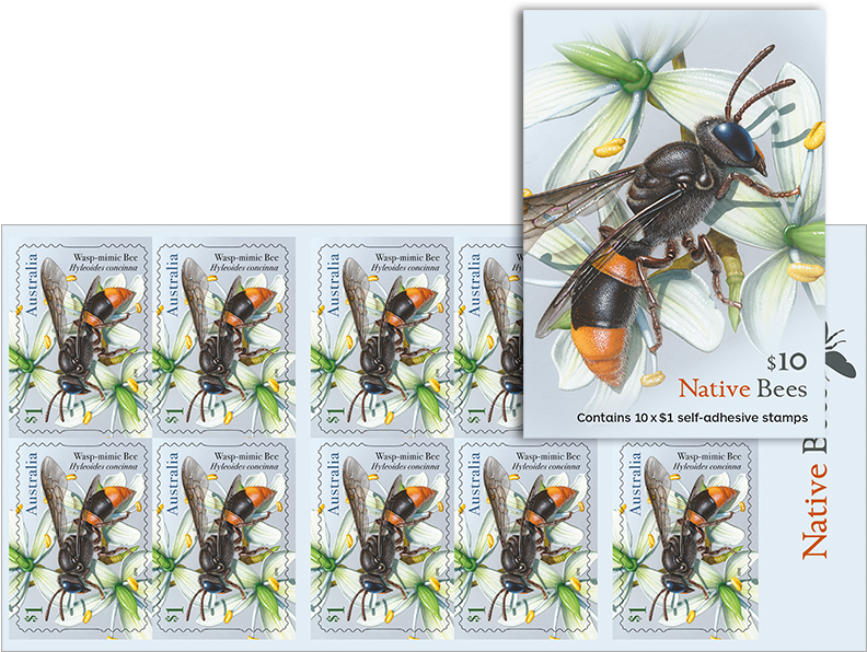 Native Bee Wasp Mimic Stamp Sheet PNG image
