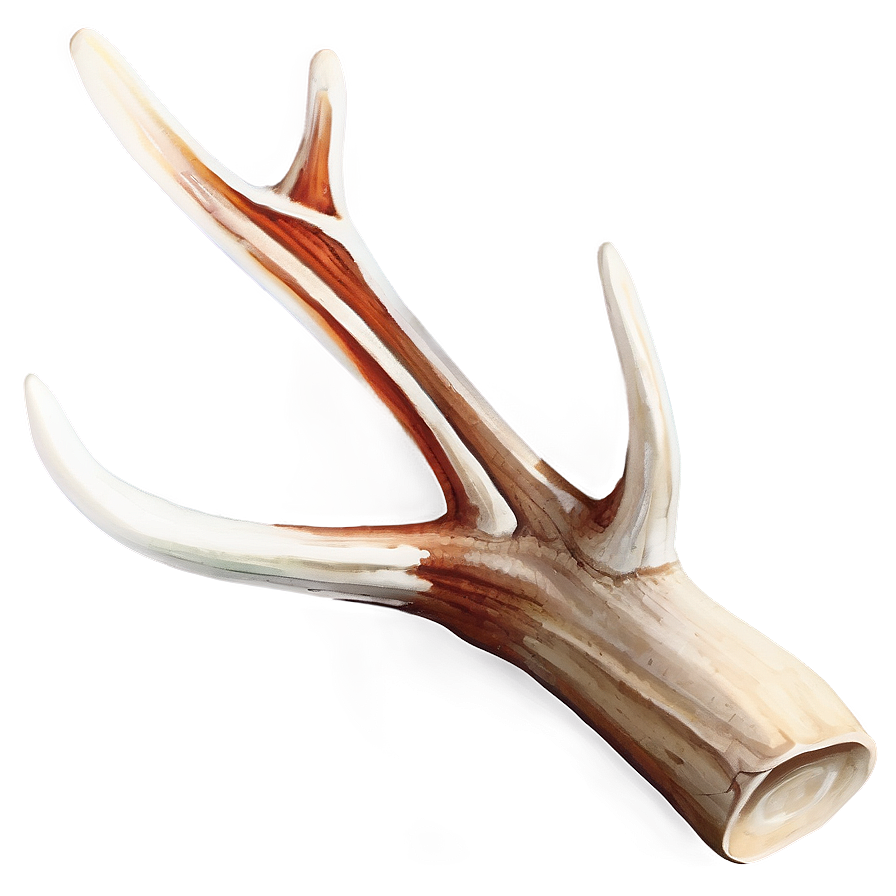 Natural Deer Antler Graphic Png Gch PNG image